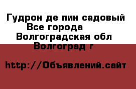 Гудрон де пин садовый - Все города  »    . Волгоградская обл.,Волгоград г.